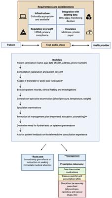 Telemedicine as the New Outpatient Clinic Gone Digital: Position Paper From the Pandemic Health System REsilience PROGRAM (REPROGRAM) International Consortium (Part 2)